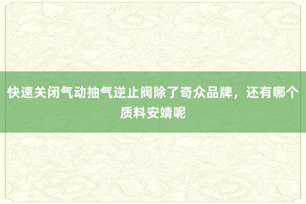 快速关闭气动抽气逆止阀除了奇众品牌，还有哪个质料安靖呢